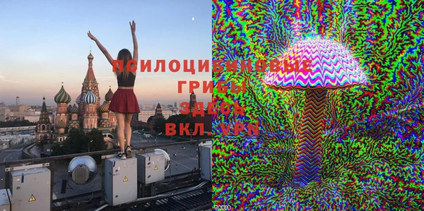 гашик Лабытнанги