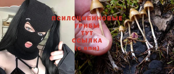 МДПВ Ладушкин