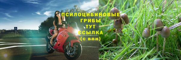 ECSTASY Лихославль