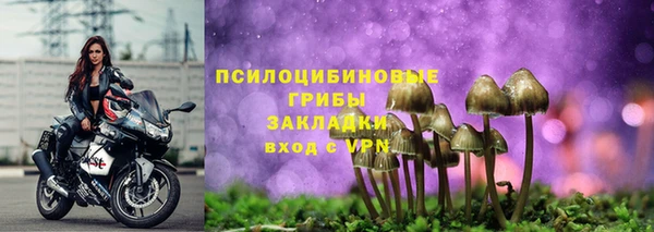 круглые Лагань
