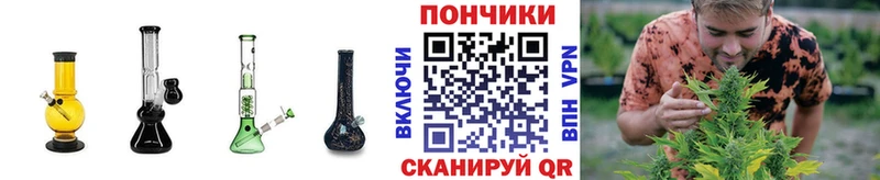 Бошки марихуана план  Сухиничи 